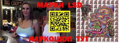apvp Камышлов