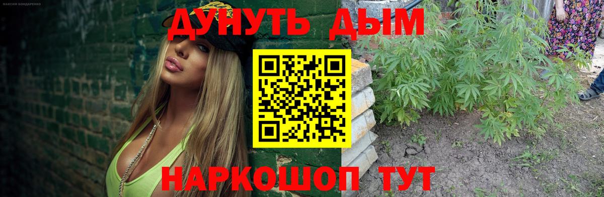 Конопля Ganja Кудрово